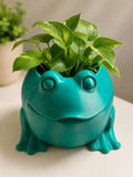 Cute Frog Planter | 3D Printed Frog Pot | Small Succulent Planter | Desk Plant Pot | Kawaii Frog Decor